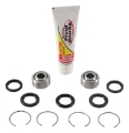 Picture of Pivot Works 91-93 Honda CR125R Rear Shock Bearing Kit