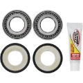 Picture of Pivot Works 07-10 BMW G450X Steering Stem Bearing Kit