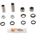Picture of Pivot Works 98-99 Honda CR80R Swing Arm Kit
