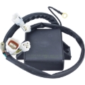 Picture of Arrowhead Yamaha CDI Module