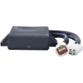 Picture of Arrowhead Yamaha CDI Module