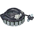 Picture of Arrowhead Suzuki 12V Stator