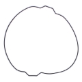 Picture of Vertex Gaskets 21-23 Gas-Gas EC250 Outer Clutch Gasket Kit