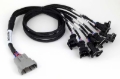 Picture of Haltech NEXUS V8 Junior Timer (EV1) Injector Primary Breakout (Plug-n-Play w/HT-186200)