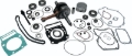 Picture of Vertex Complete Engine Rebuild Kit