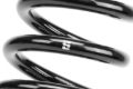 Picture of Eibach EIB Replacements Springs Coilover Springs - R40054