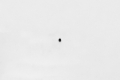 Picture of Wilwood WIL Hardware Brake Hardware - 230-5046