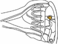 Picture of Moog MOH Alignment Bolts - K100009