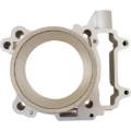 Picture of Cylinder Works 15-19 ACE 570/15-19 ACE 570 HD/14-21 Ranger 570 4x4 Crew EPS Standard Bore Cylinder