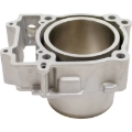Picture of Cylinder Works 15-19 ACE 570/15-19 ACE 570 HD/17-19 Ranger 570 4x4 EPS Standard Bore Cylinder Kit